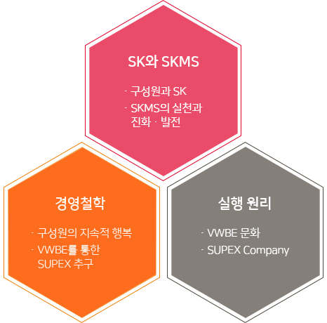 SK와 SKMS: 구성원과 SK, SKMS의 실천과 진화/발전 | 경영철학 : 구성원의 지속적 행복, VWBE를 통한 SUPEX추구 | 실행원리 : VWBE문화, SUPEX Company
